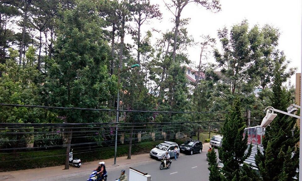 Trang Thanh 2 Guest House Da Lat Dış mekan fotoğraf